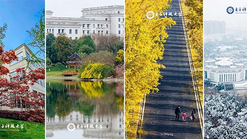 常开常闭触点：揭秘其原理与选购要点**